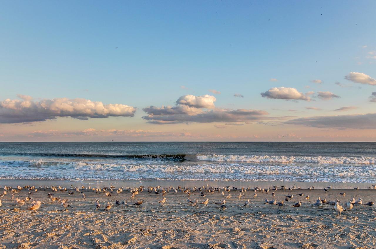 Arcadian Dunes 26-507 Apartment Myrtle Beach Bagian luar foto